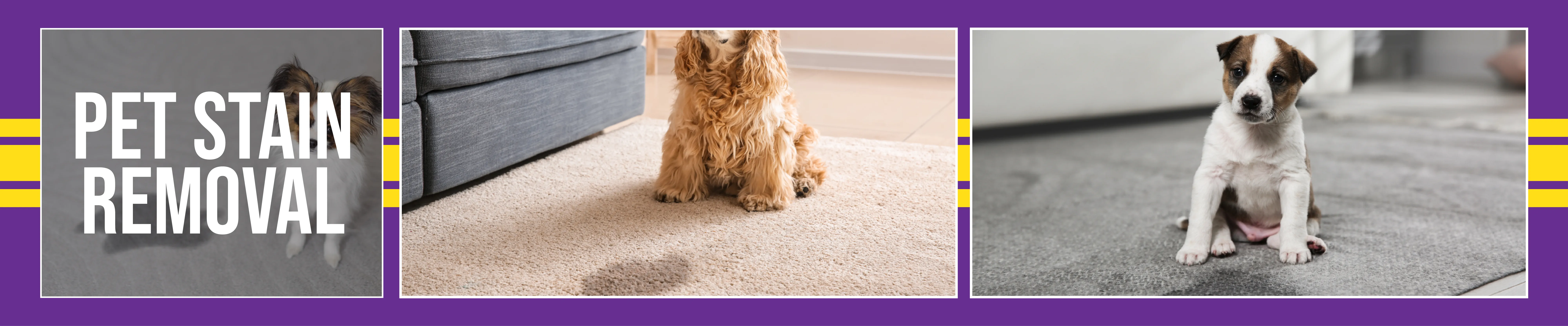 Pet Stain & Odor Removal